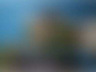 Understanding Roof Damage