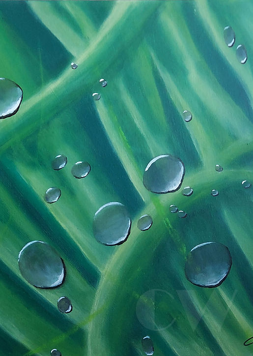 Raindrops Moment I.jpg