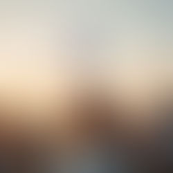 What is Premature Ovarian Insufficiency (POI)? A Guide to Understanding and Thriving