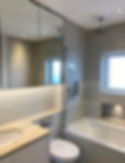 Toilet Cleaning