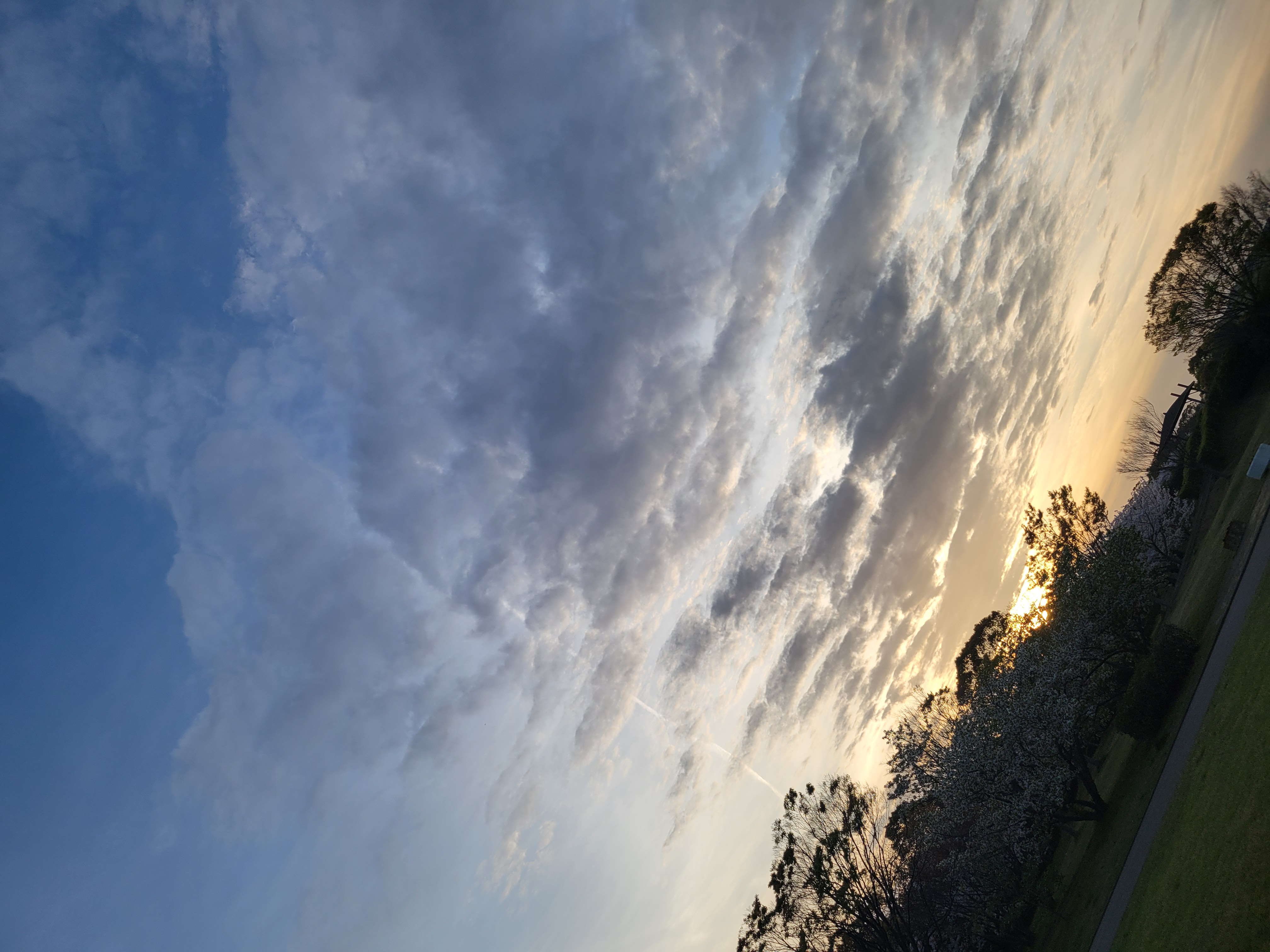 執筆者の写真: 小野田