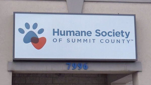 logo3_edited.jpg