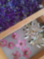 Atelier herboristerie de printemps : transformer les fleurs