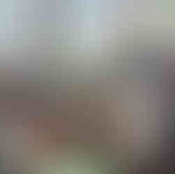 Tournesols déjà repiqués - préparer les semis de printemps