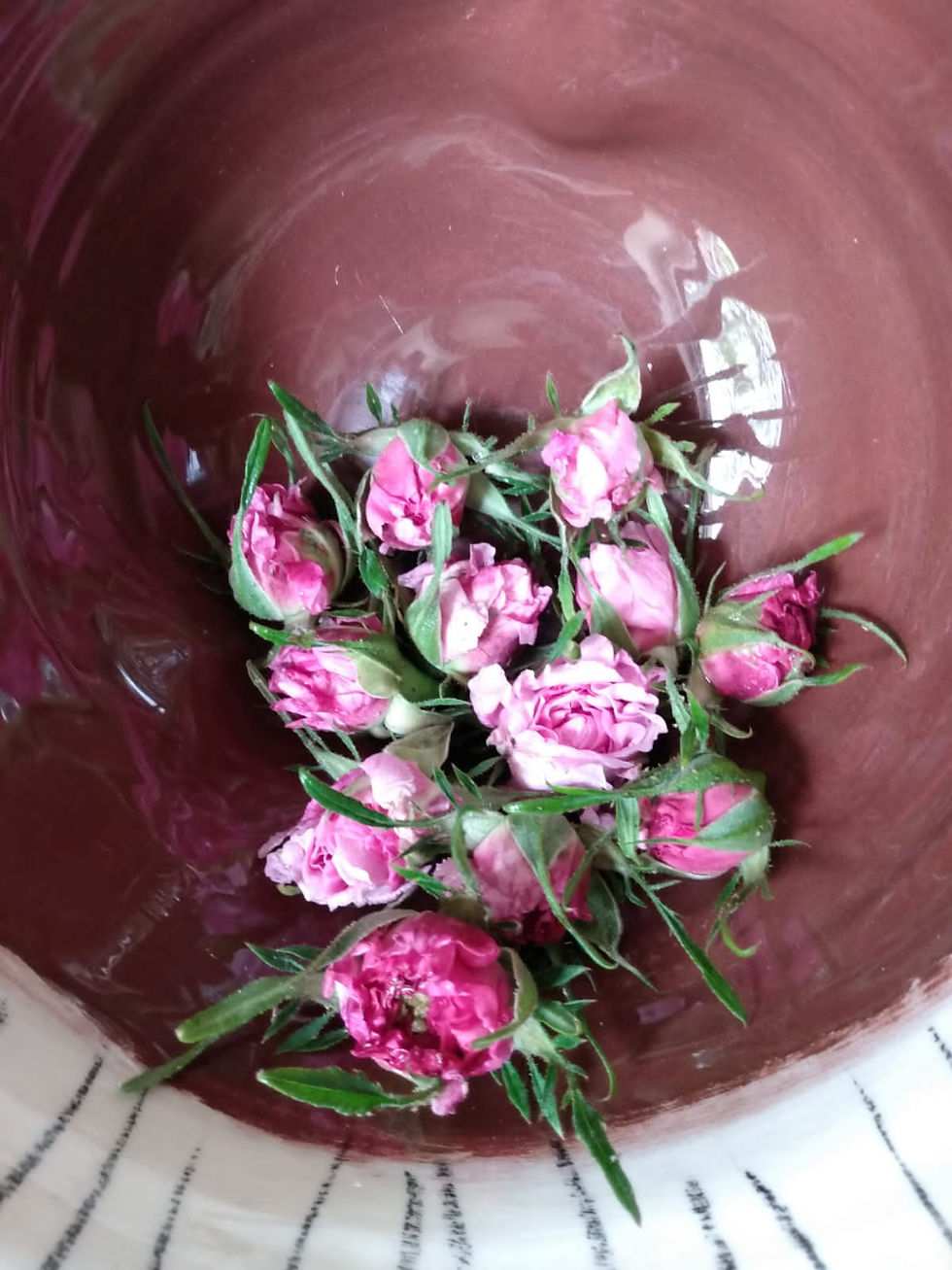 Atelier Herboristerie