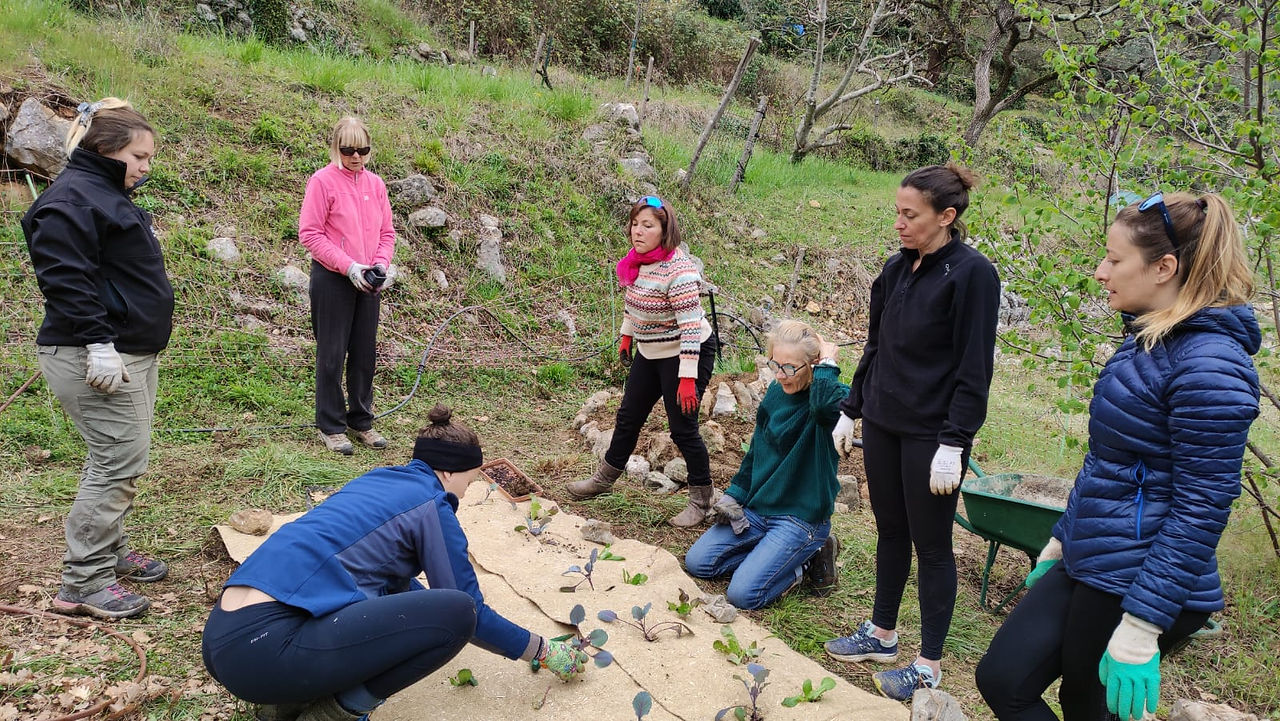 jardin nourricier permaculture