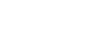 Spa Chicks Mobile Spa Events and Corporate Chair Massage NYC