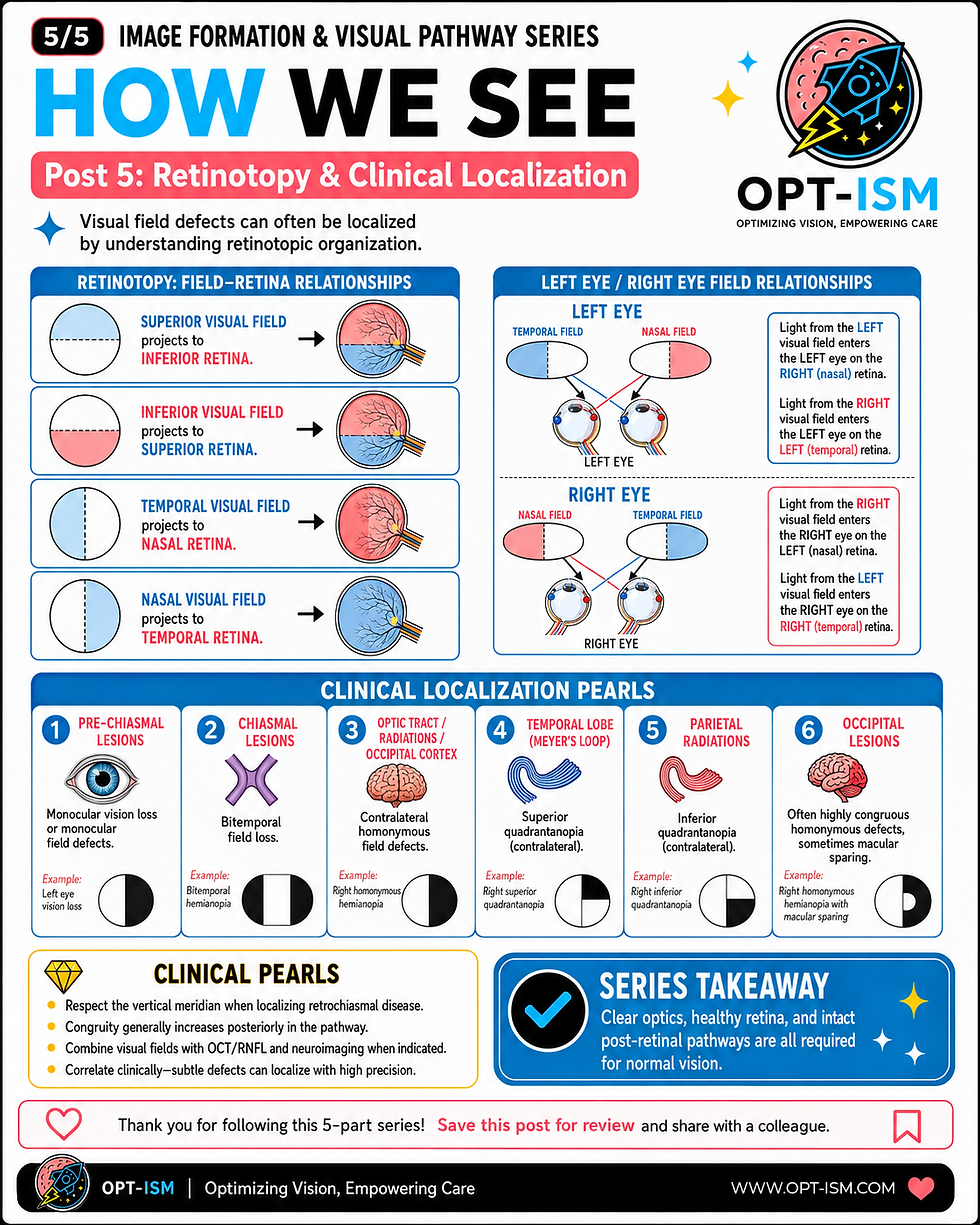 Medical infographic on retinotopy and visual field localization, with eye/brain diagrams, blue-red panels, and OPT-ISM branding