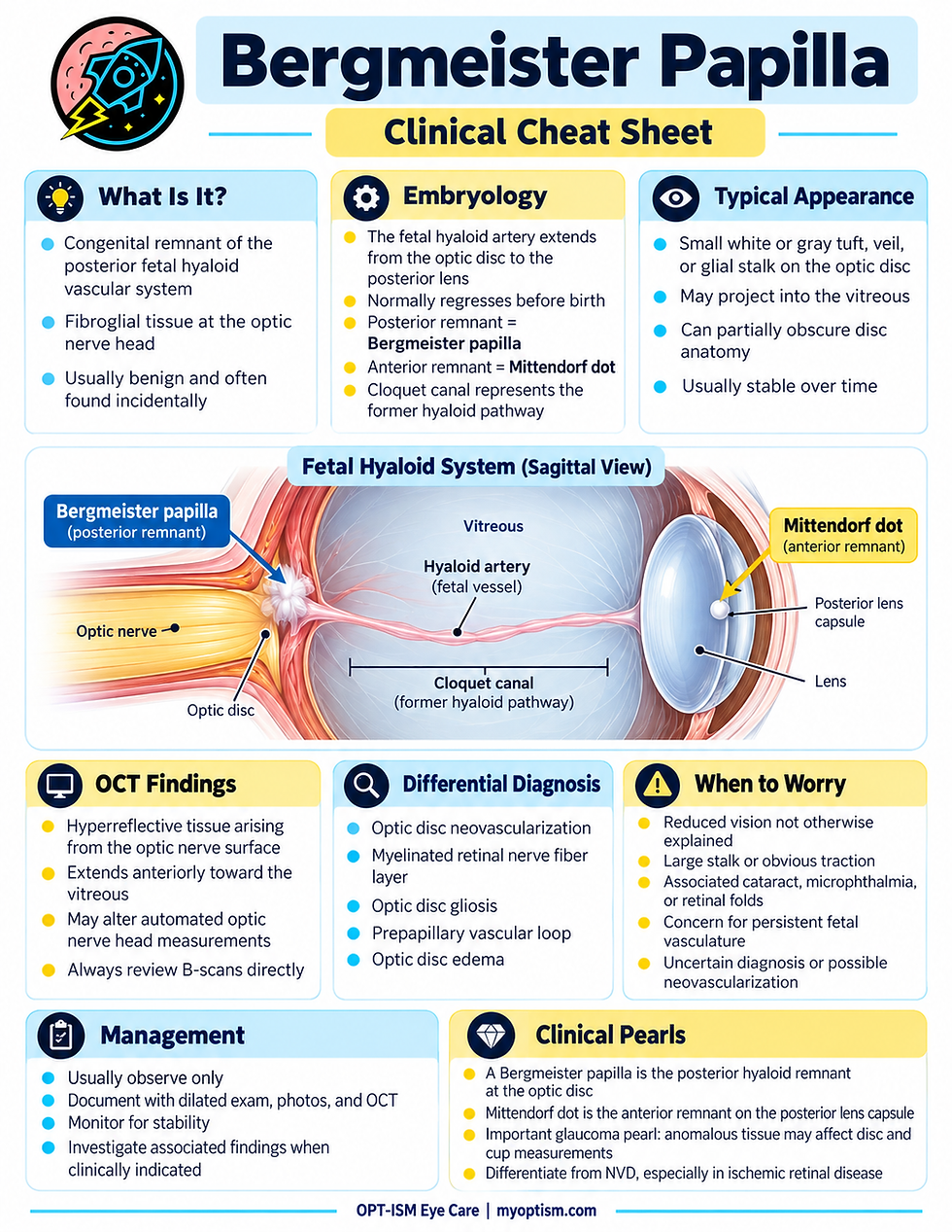 Bergmeister papilla clinical cheat sheet infographic with labeled eye diagram, findings, differential diagnosis, and management.