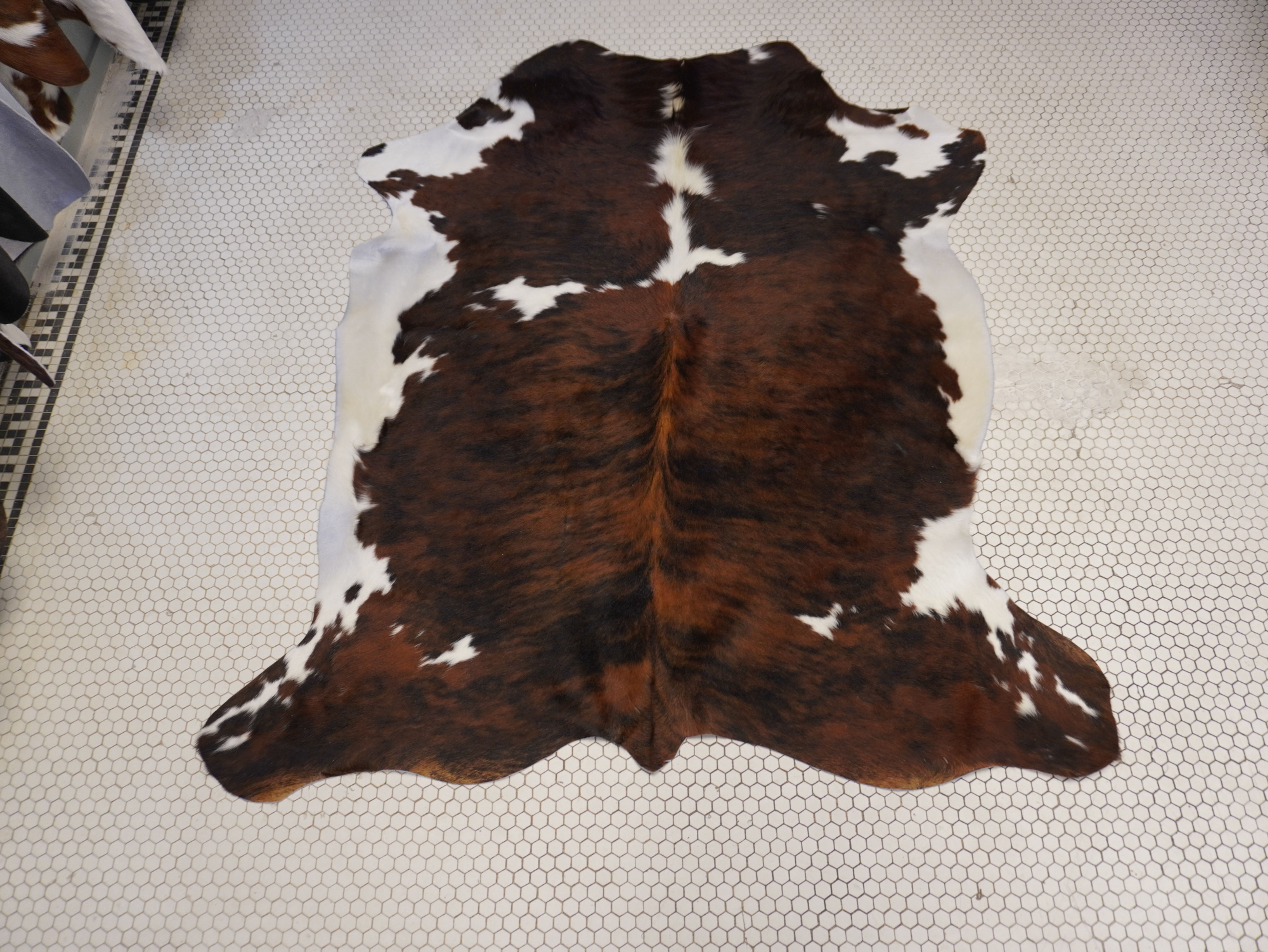 Colombian Tricolor Bone Cowhide