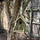 Thumbnail: Bird nesting and feeding houses