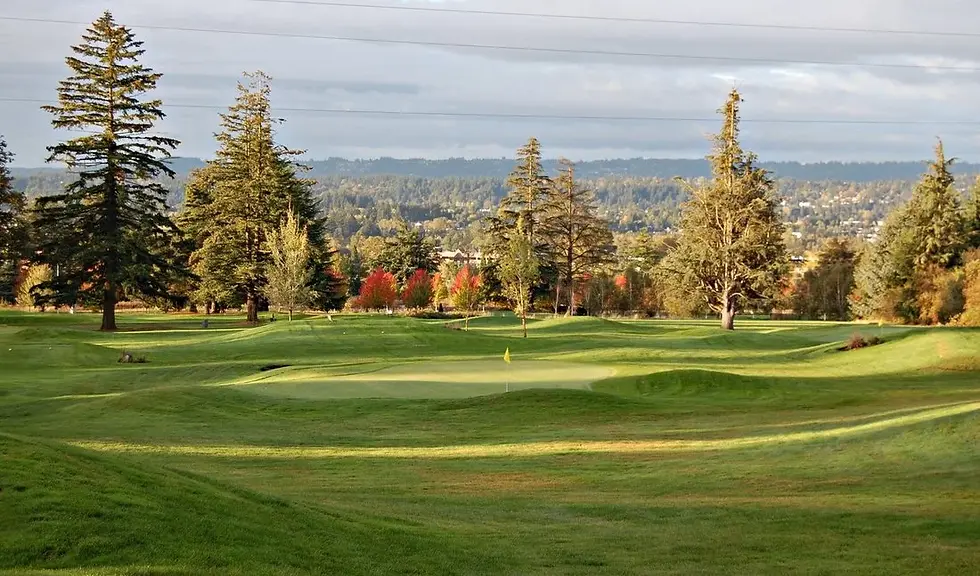 golf-par-3-08-3530396d (1) (2) (1).webp