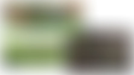 Worship with us on March 8 at 8:00 or 10:00 am or online!