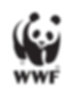 Logo-WWF-Brasil.webp