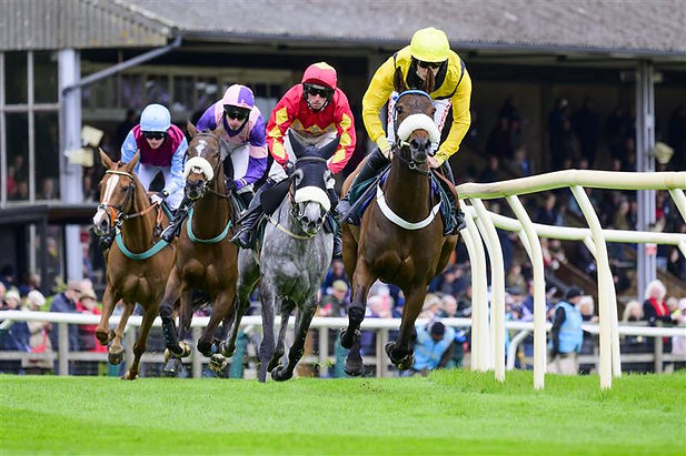 Fakenham Horse Races.jpg