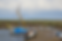 Blakeney Boats.png