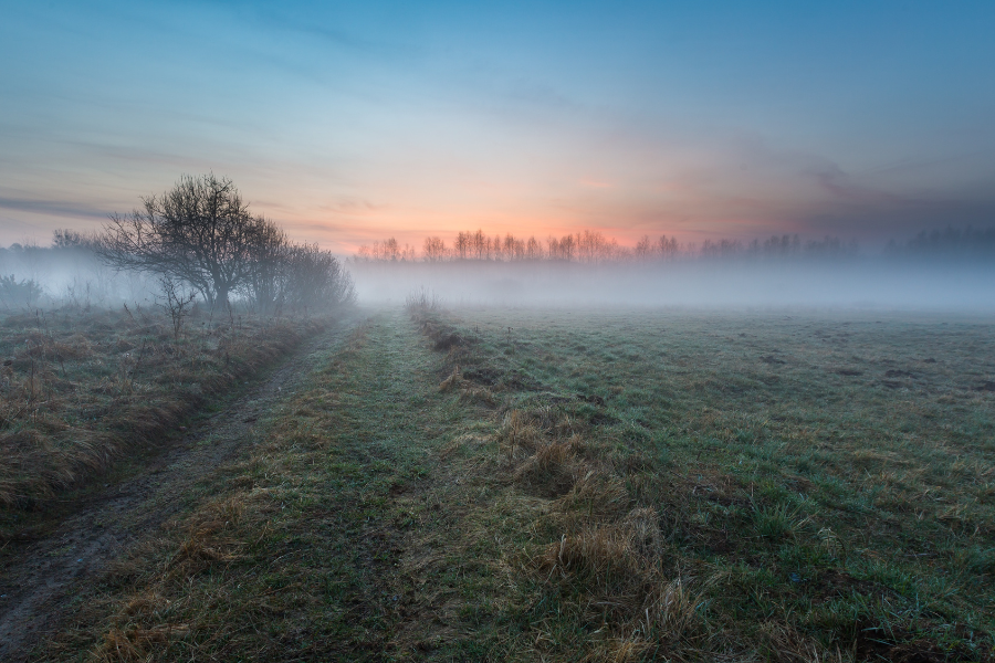 The Carpenters Arms Great Wilbraham Winter Offers