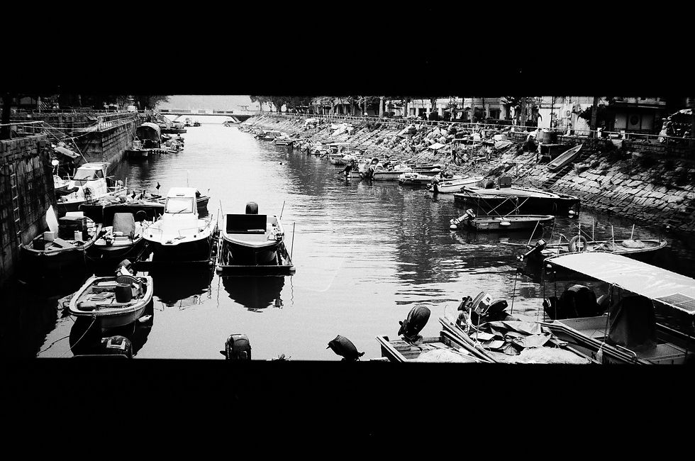 Mui Wo