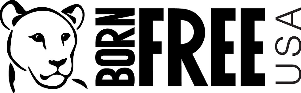 Logo with a stylized lion face on the left. Text reads "BORN FREE USA" vertically in bold black letters. Simple and striking design.