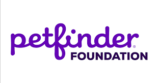 Purple text "petfinder FOUNDATION" logo on a white background. Simple, bold font conveys clarity and professionalism.
