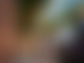 Confused After a Luxury Car Crash? This One Call Handles Towing, Insurance & Full Repair