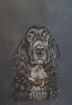 Day Stained Glass Workshop