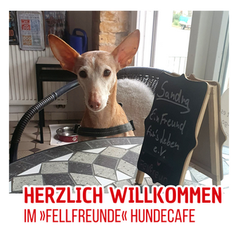 Willkommen im Hundecafé!