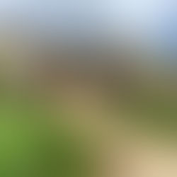 Highlands Ranch Community