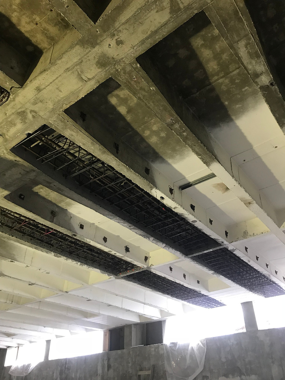  UBC 2018 Drag Struts