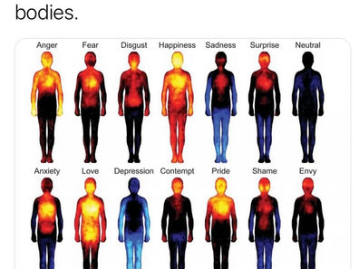 The Physiological Lens on Emotional Intelligence