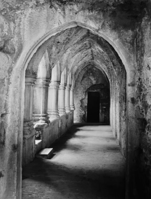 Muckross Abbey, County Kerry, Ireland