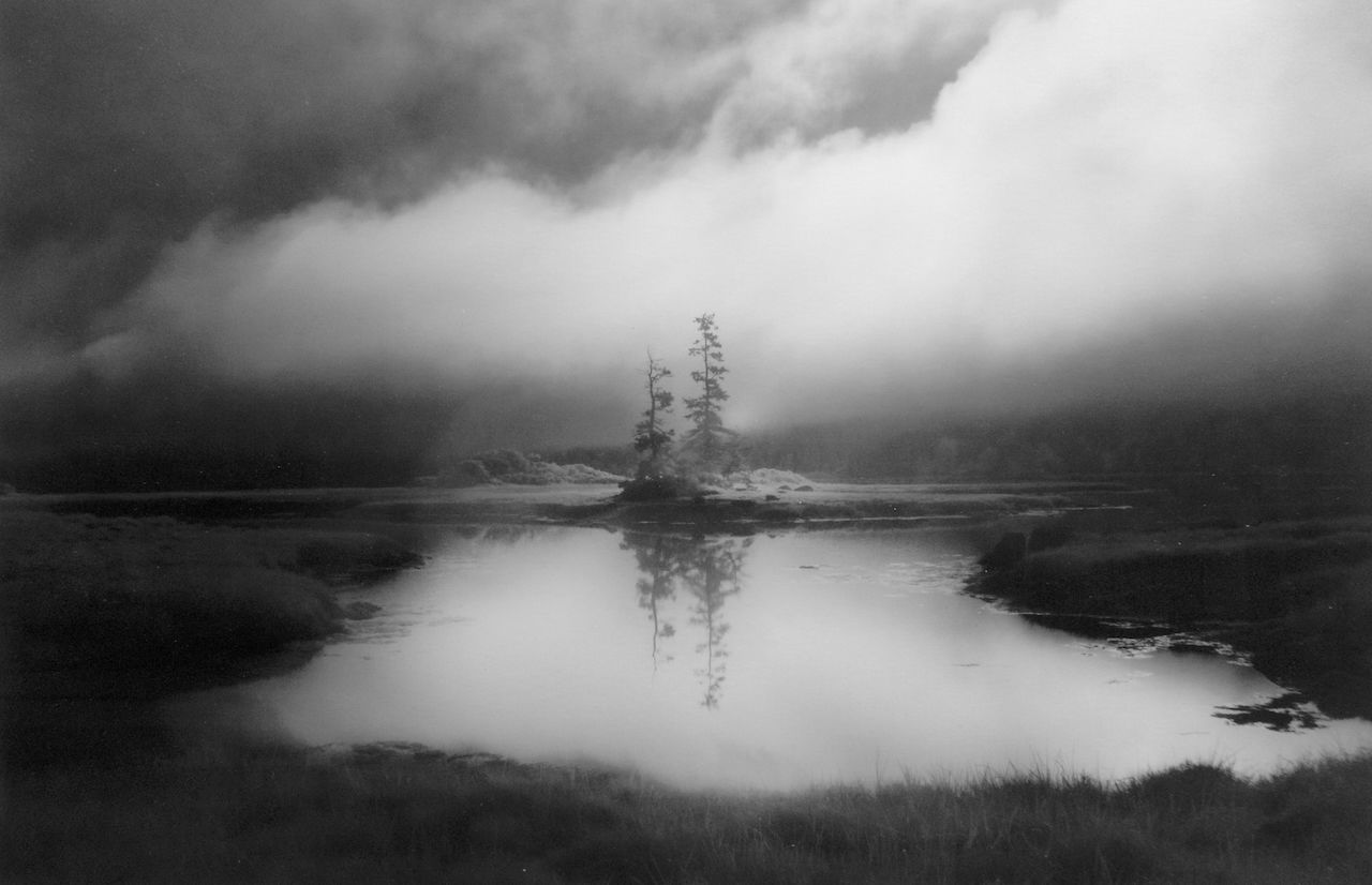 Two Trees, The Basin, Vinalhaven, Maine