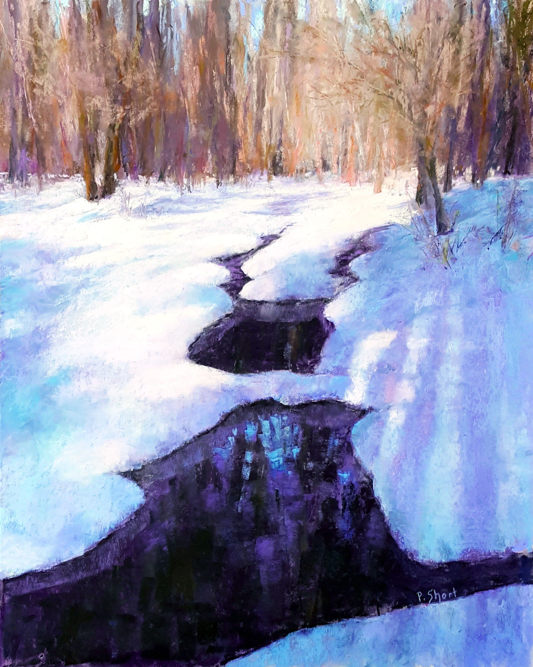 Beauty in Our Own Backyard IV