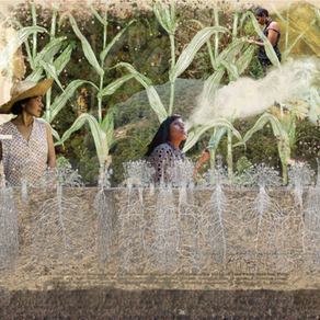 LUCIANA VARKULJA Y FELLIPE ABREU