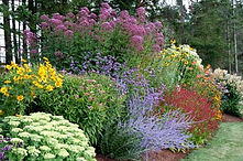 Perenial Garden.jpg
