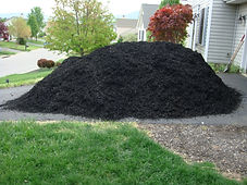 mulch.JPG