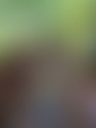 Team Farmville is in Honduras!