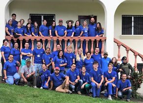 The Human Connection