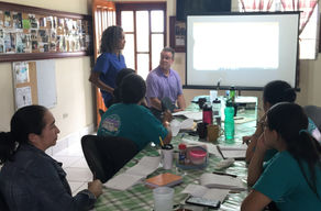 Staff Working on Six Sigma Projects