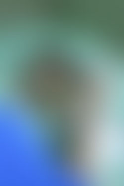 Little Hearts Project