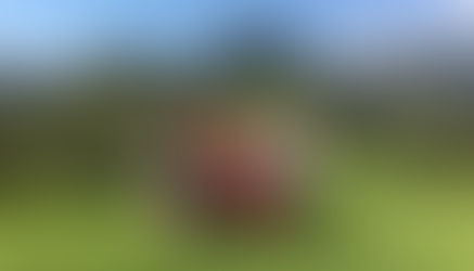 SOVA Team is in Honduras!