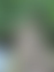 Blessed are the Flexible