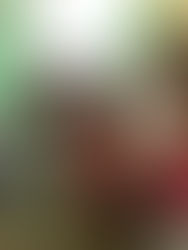 Team SOVA in El Pilón