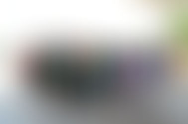 Team Danville at Home in Honduras