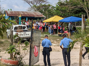 Cordoncillos