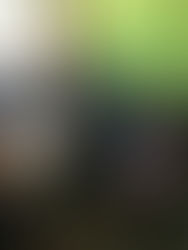 Sus Manos Team visits El Chaguiton