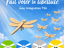 Campagne «Fait voler ta libellule»
