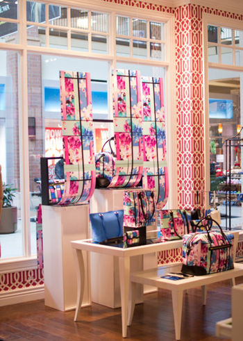 Window Display design