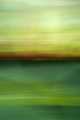 With the Ghosts of the Animals.jpg