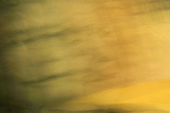 10 Pounds for Her Majesty.jpg